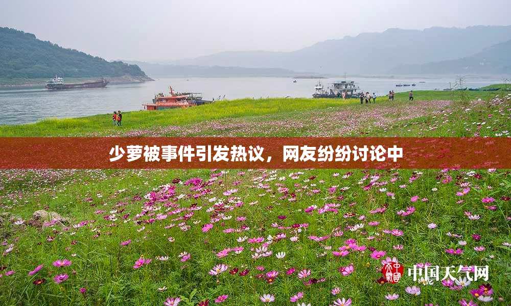 少萝被事件引发热议，网友纷纷讨论中