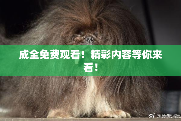 成全免费观看！精彩内容等你来看！