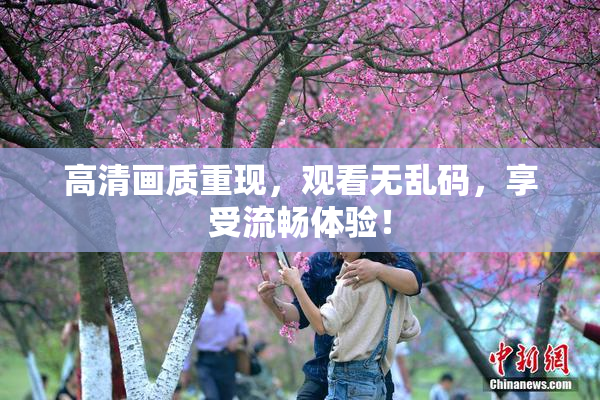 高清画质重现，观看无乱码，享受流畅体验！