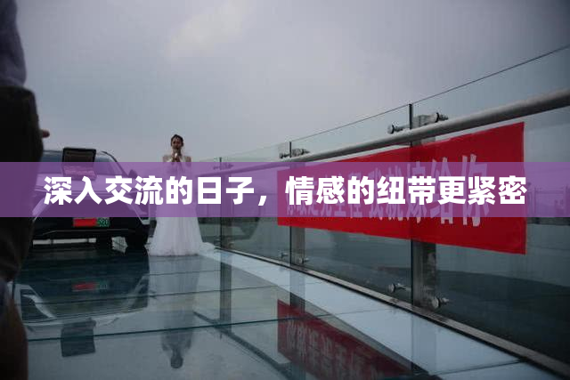 深入交流的日子，情感的纽带更紧密