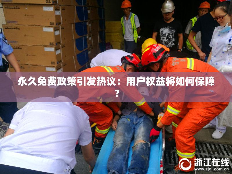 永久免费政策引发热议：用户权益将如何保障？