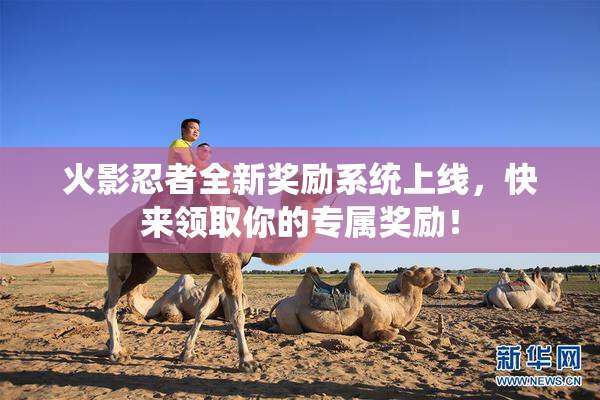 火影忍者全新奖励系统上线，快来领取你的专属奖励！