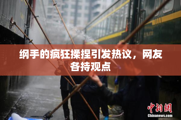 纲手的疯狂揉捏引发热议，网友各持观点