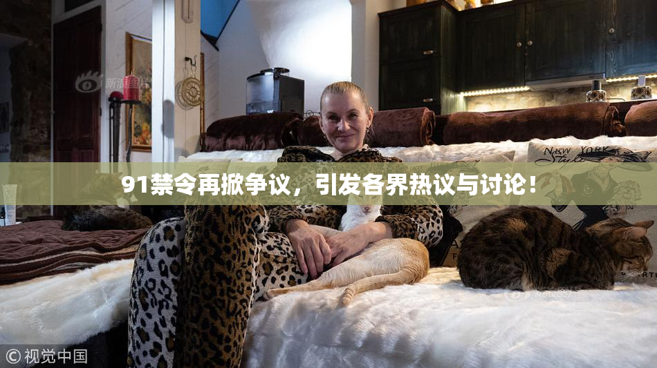 91禁令再掀争议，引发各界热议与讨论！