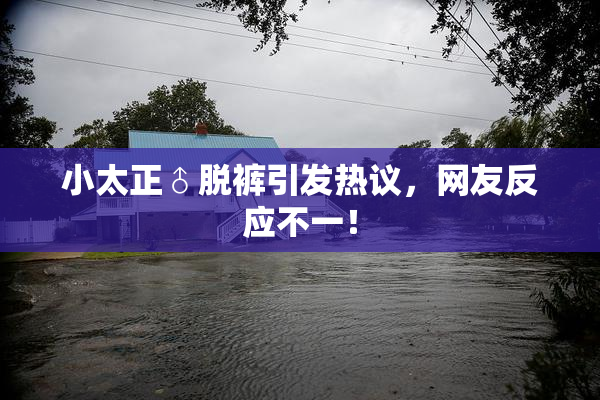 小太正♂脱裤引发热议，网友反应不一！