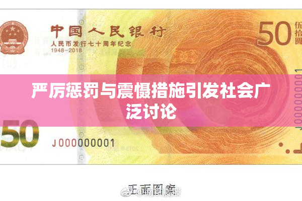 严厉惩罚与震慑措施引发社会广泛讨论