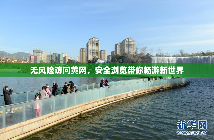 无风险访问黄网，安全浏览带你畅游新世界
