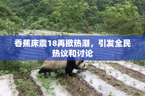 香蕉床震18再掀热潮，引发全民热议和讨论