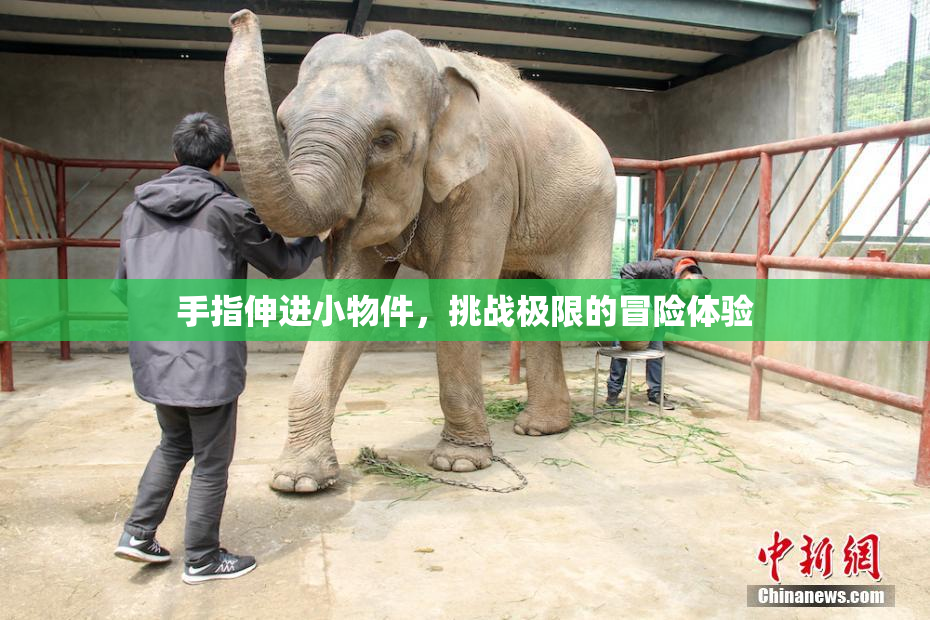 手指伸进小物件，挑战极限的冒险体验