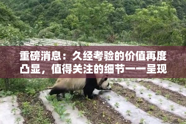 重磅消息：久经考验的价值再度凸显，值得关注的细节一一呈现！