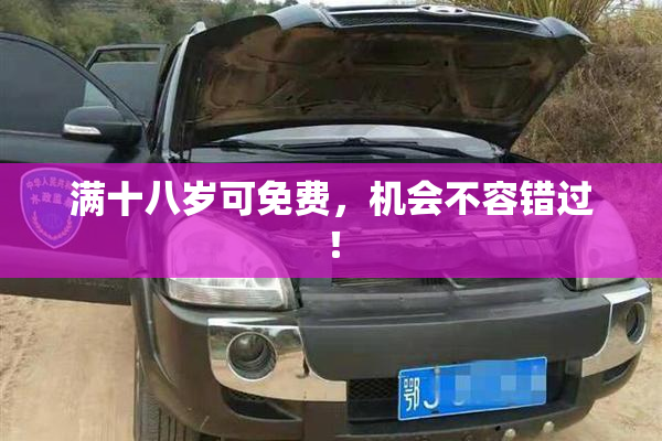 满十八岁可免费，机会不容错过！