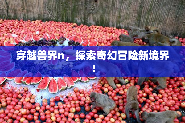 穿越兽界n，探索奇幻冒险新境界！