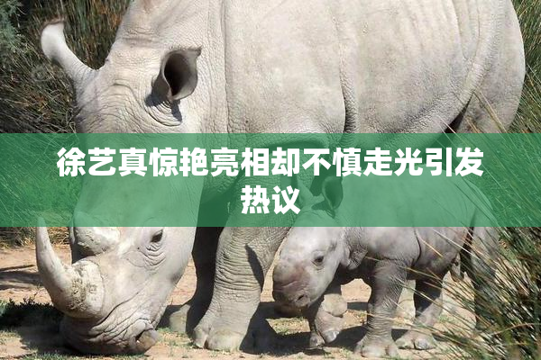 徐艺真惊艳亮相却不慎走光引发热议