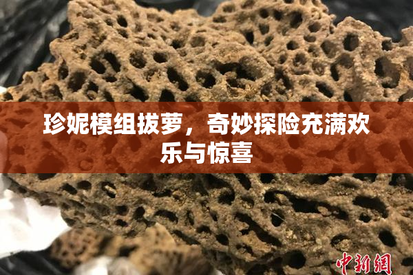 珍妮模组拔萝，奇妙探险充满欢乐与惊喜