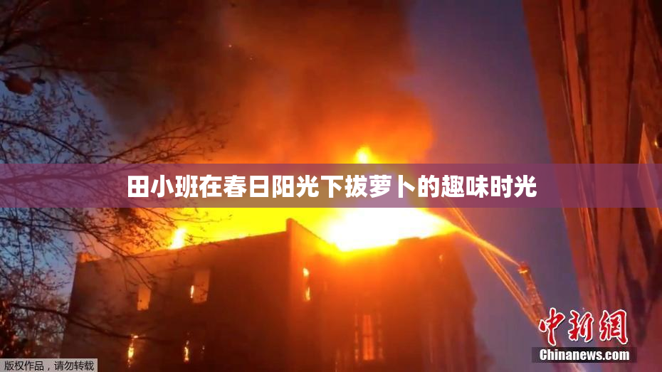 田小班在春日阳光下拔萝卜的趣味时光