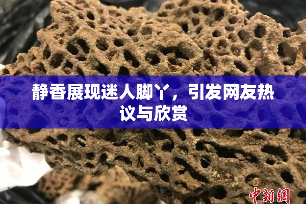 静香展现迷人脚丫，引发网友热议与欣赏