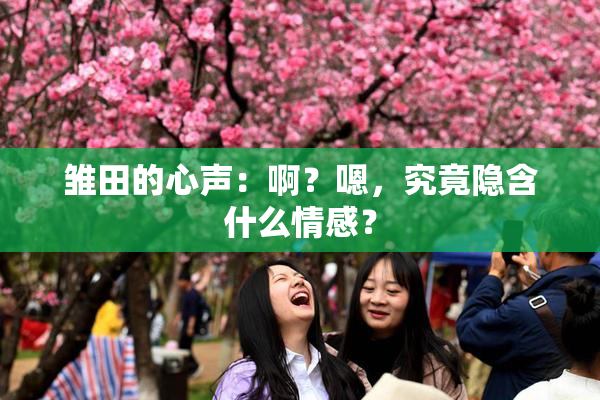 雏田的心声：啊？嗯，究竟隐含什么情感？