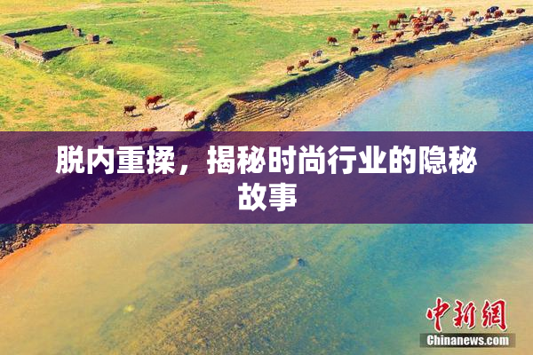 脱内重揉，揭秘时尚行业的隐秘故事