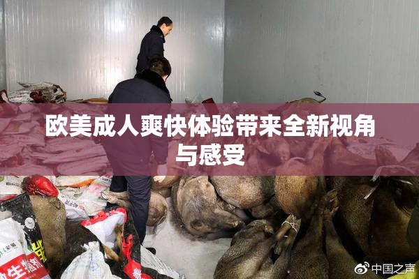 欧美成人爽快体验带来全新视角与感受