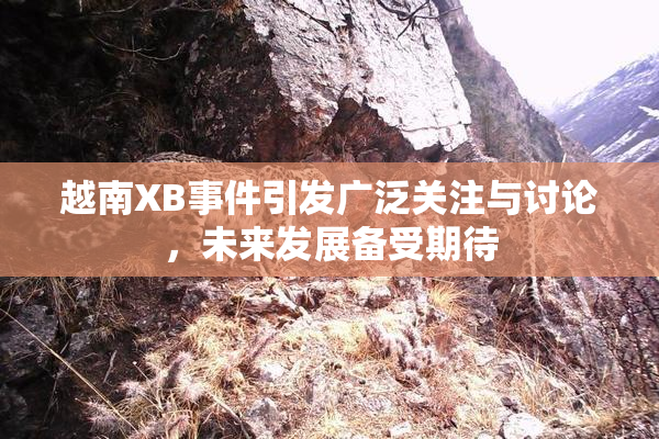 越南XB事件引发广泛关注与讨论，未来发展备受期待