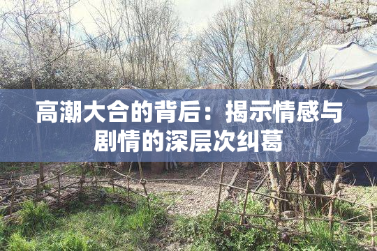 高潮大合的背后：揭示情感与剧情的深层次纠葛