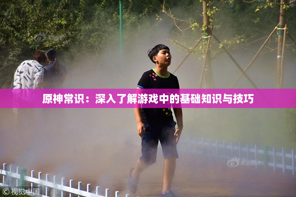 原神常识：深入了解游戏中的基础知识与技巧