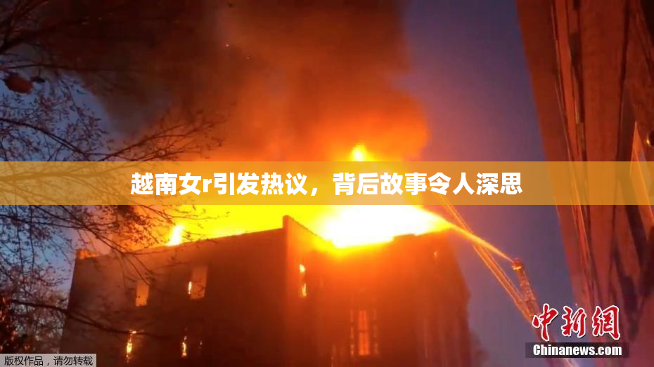 越南女r引发热议，背后故事令人深思