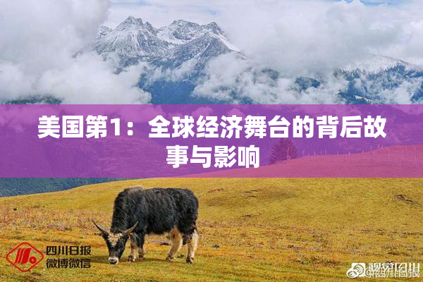 美国第1：全球经济舞台的背后故事与影响