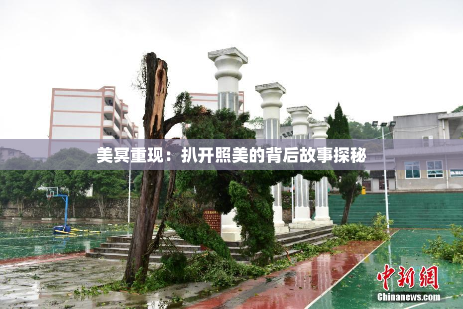 美冥重现：扒开照美的背后故事探秘