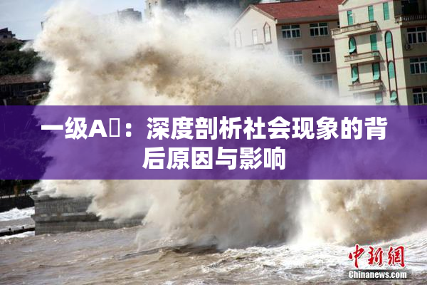 一级A婬：深度剖析社会现象的背后原因与影响