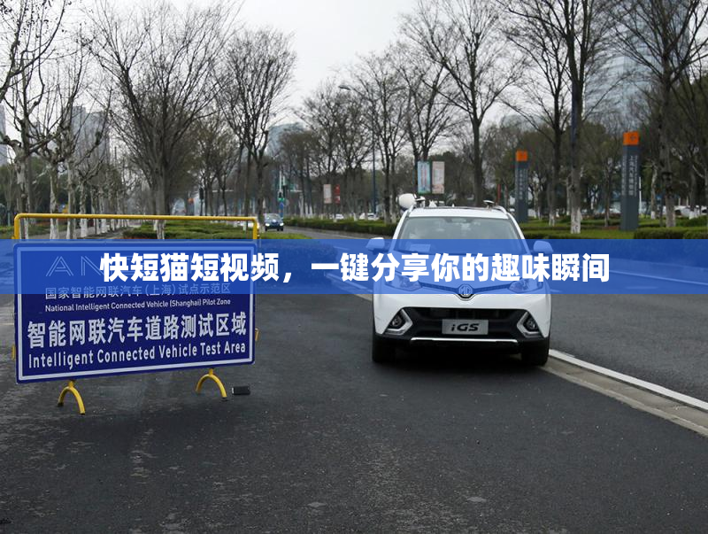 快短猫短视频，一键分享你的趣味瞬间
