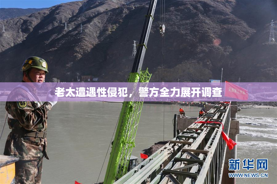 老太遭遇性侵犯，警方全力展开调查