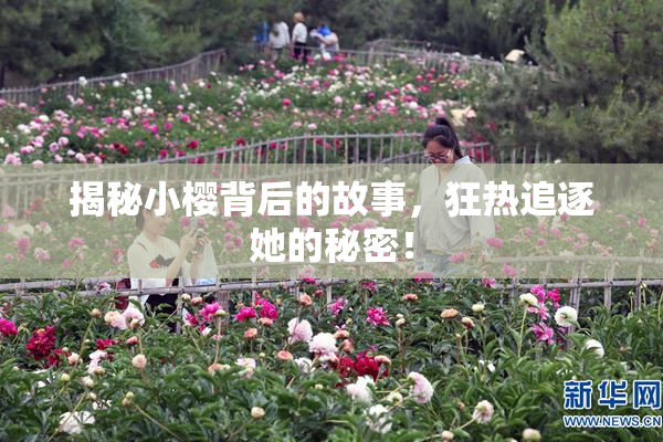 揭秘小樱背后的故事，狂热追逐她的秘密！