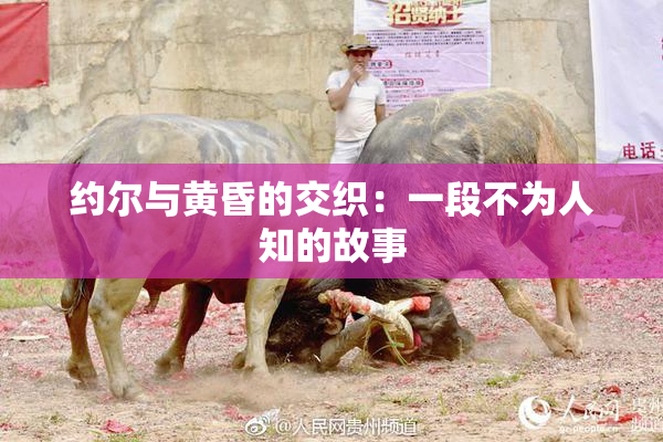 约尔与黄昏的交织：一段不为人知的故事