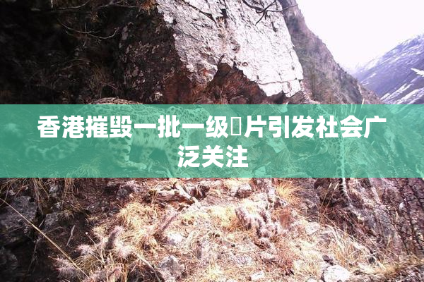 香港摧毁一批一级婬片引发社会广泛关注