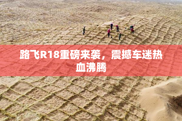 路飞R18重磅来袭，震撼车迷热血沸腾