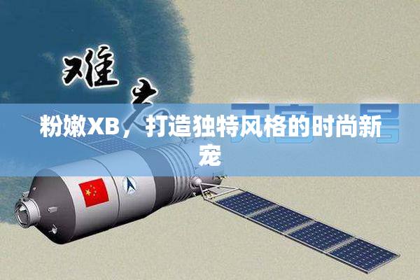 粉嫩XB，打造独特风格的时尚新宠