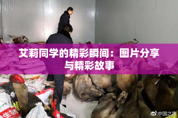 艾莉同学的精彩瞬间：图片分享与精彩故事