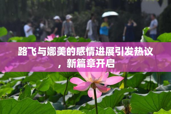 路飞与娜美的感情进展引发热议，新篇章开启