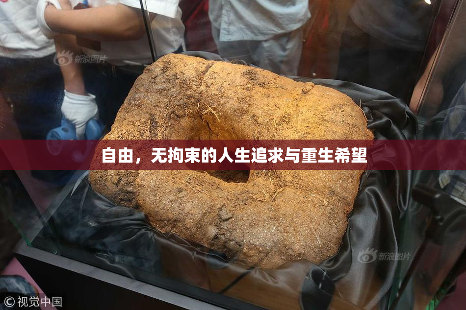 自由，无拘束的人生追求与重生希望