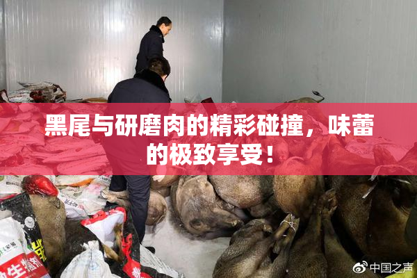 黑尾与研磨肉的精彩碰撞，味蕾的极致享受！
