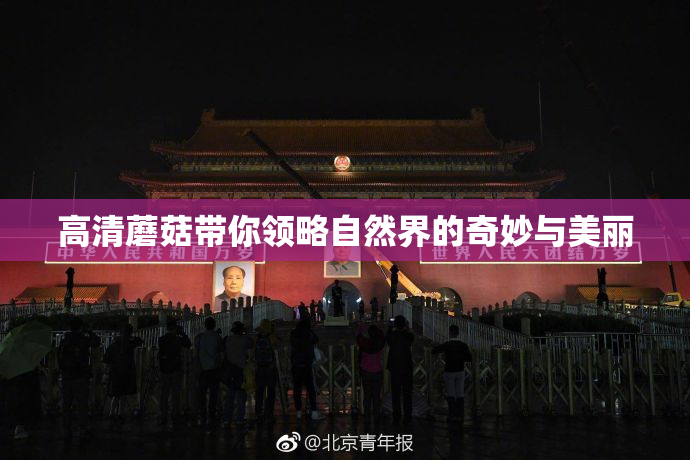高清蘑菇带你领略自然界的奇妙与美丽