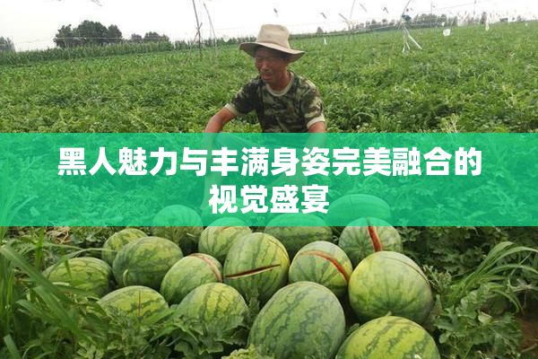 黑人魅力与丰满身姿完美融合的视觉盛宴