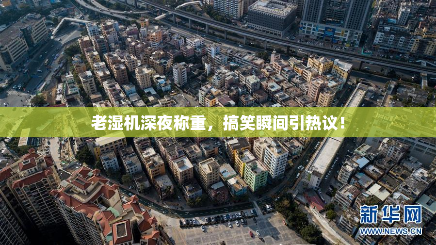 老湿机深夜称重，搞笑瞬间引热议！