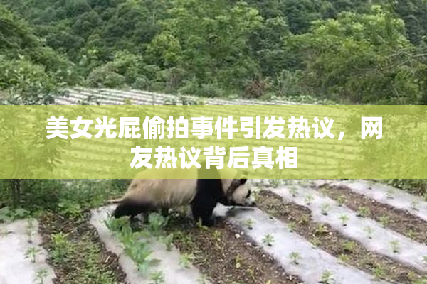 美女光屁偷拍事件引发热议，网友热议背后真相
