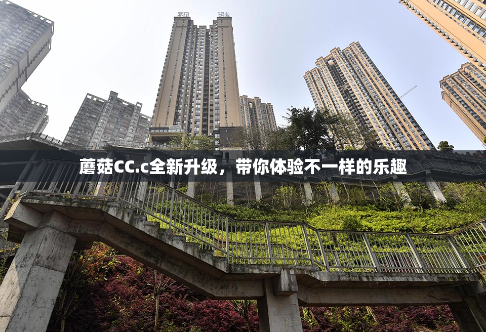 蘑菇CC.c全新升级，带你体验不一样的乐趣