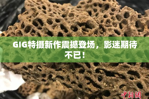 GIG特摄新作震撼登场，影迷期待不已！