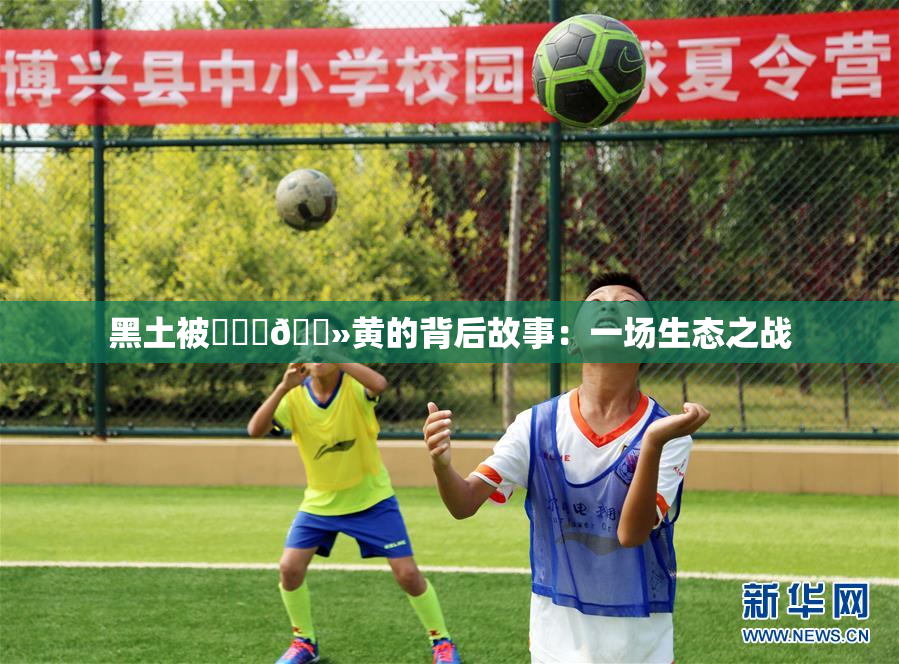黑土被❌‌‌🐻黄的背后故事：一场生态之战