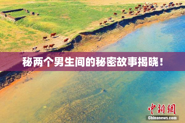 秘两个男生间的秘密故事揭晓！
