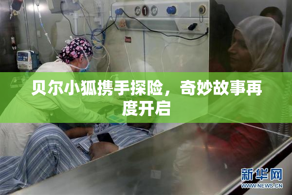 贝尔小狐携手探险，奇妙故事再度开启
